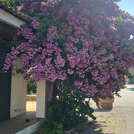 Apartamento Vue mer Sognu di Mare duplex climatisé - Wifi 5g gratuit - 250 m de la plage à pied *