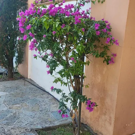Apartamento Vue mer Sognu di Mare duplex climatisé - Wifi 5g gratuit - 250 m de la plage à pied Linguizzetta