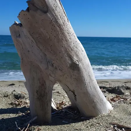 Vue Sognu Di Mare F3 - Wifi 5g
