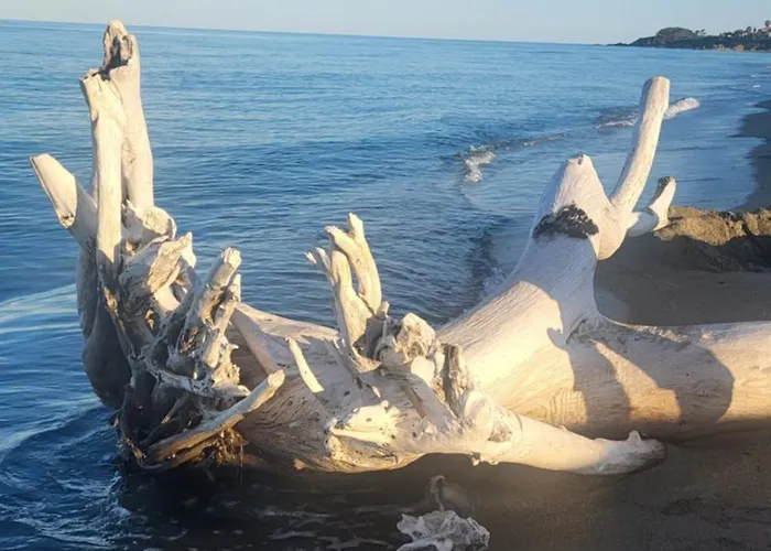 Bienvenue à Sognu Di Mare Linguizzetta